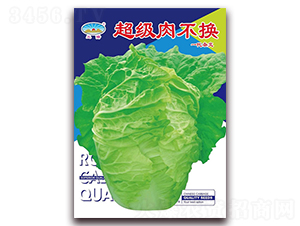 超級肉不換-白菜種子-天和種業