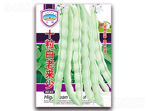 十粒白老來少-豆角種子-天和種業