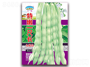 特嫩一尺長-豆角種子-天和種業