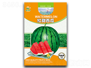 紅甜西瓜-西瓜種子-豫輝種業