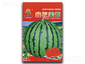 鑫花美都-西瓜種子-豫輝種業
