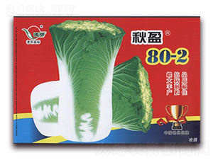 秋盈80-2-白菜種子-仁大農業
