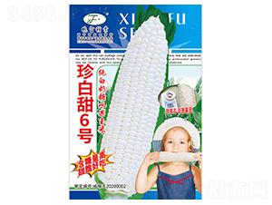 珍白甜6號-玉米種子-曉富種子