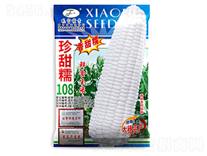 珍甜糯108-玉米種子-曉富種子