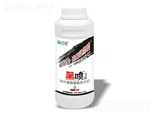 液體緩釋高氮復合肥-黑噴-艾豐生物