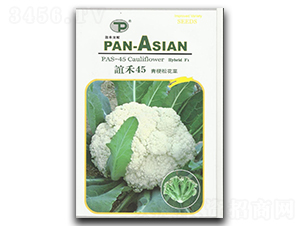 誼禾45-松花菜種子-誼禾
