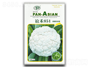 誼禾851-松花菜種子-誼禾