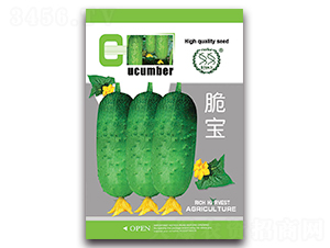 脆寶-黃瓜種子-豐農農業