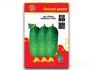 晶脆-黃瓜種子-豐農農業