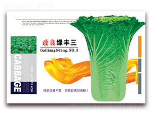 改良綠豐三-白菜種子-豐農農業