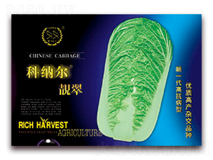 科納爾靚翠-白菜種子-豐農農業