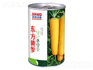 東方黃參（罐）-胡蘿卜種子-祥瑞達(dá)