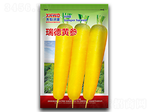 瑞德黃參-胡蘿卜種子-祥瑞達