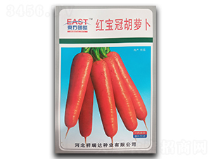 紅寶冠胡蘿卜-胡蘿卜種子-祥瑞達