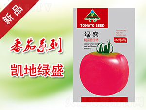 綠盛-番茄種子-凱地農業