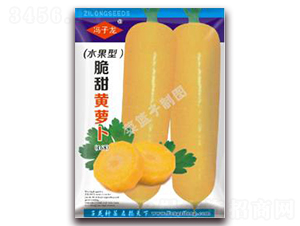 脆甜黃蘿卜-蘿卜種子-子龍種業