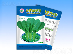 金夏雞毛菜-青梗菜種子-天龍種業