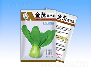 金茂-青梗菜種子-天龍種業