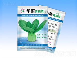 華麗-青梗菜種子-天龍種業
