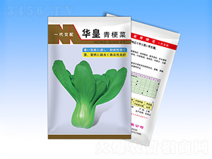 華皇-青梗菜種子-天龍種業