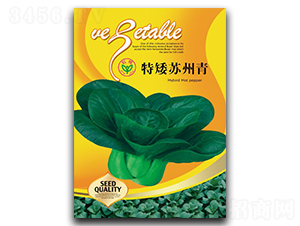 特矮蘇州青-青梗菜種子-天龍種業