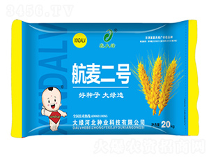 航麥2號(hào)-小麥種子-鑫大綠