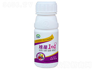 100ml1+1-r