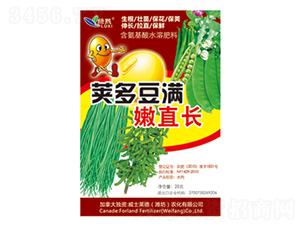 莢多豆滿嫩直長（袋裝）-綠熙-威士萊德