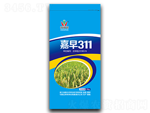 嘉早311-水稻種子-神農種業