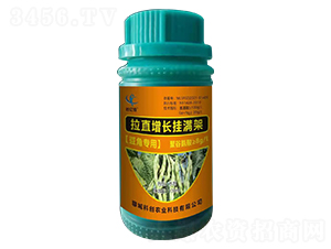 豆角專用拉直增長掛滿架-科創(chuàng)農業(yè)