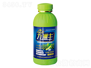 大豆增產控旺劑-九洲豐