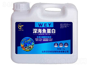 深海魚(yú)蛋白（5kg）-山東沃爾優(yōu)