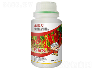 辣椒粒粒飽-金時力-大農生物
