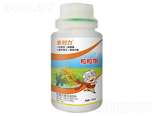 水稻粒粒飽-金時力-大農(nóng)生物