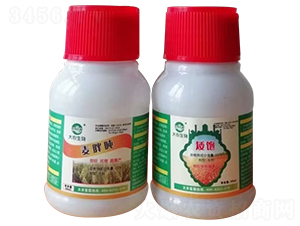 麥胖墩+矮飽-大農生物