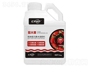 納米碳元素水溶肥料-莓大果-匯禾豐產