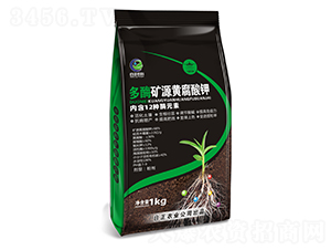 多酶礦源黃腐酸鉀-日正農科