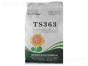 TS363向日葵種子-酒玉種業