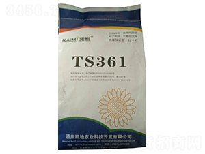 TS361向日葵種子-酒玉種業