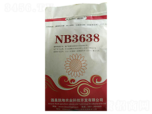 NB3638向日葵種子-酒玉種業