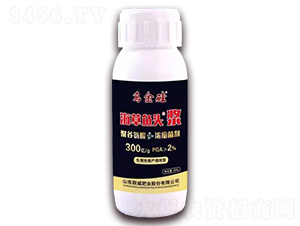 500g~^{--ʘI