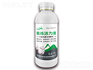 棉株活力素-黃粱夢-田歸農