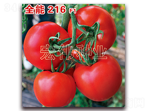全能216-紅果西紅柿種子-宏偉種業