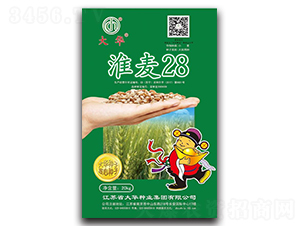 28-СN-ANI