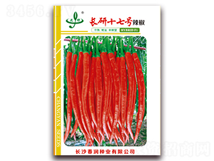 長研十七號-辣椒種子-春潤種業(yè)