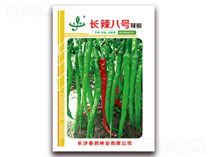長辣八號-辣椒種子-春潤種業