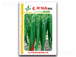 長研968-辣椒種子-春潤種業
