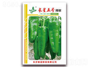 長星五號-辣椒種子-春潤種業