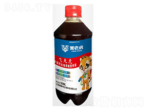 w컢вˎȡIBҺ-