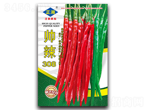 帥辣308-線椒種子-正湘種業